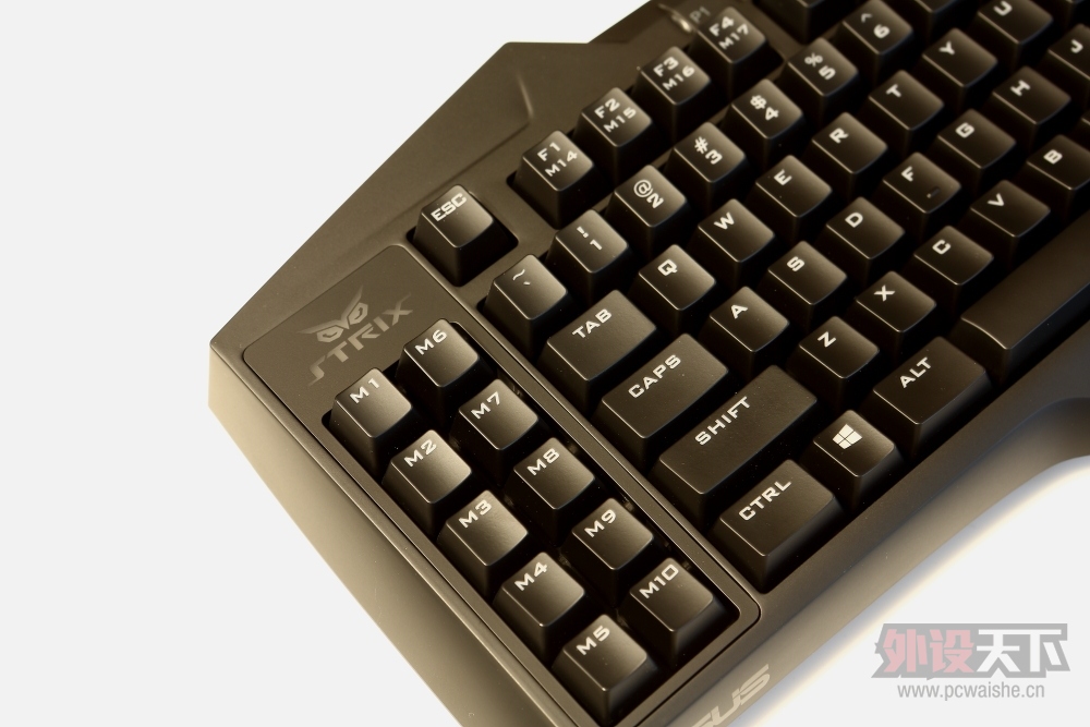 �����᡿��˶èͷӥ������----STRIX PRO���������