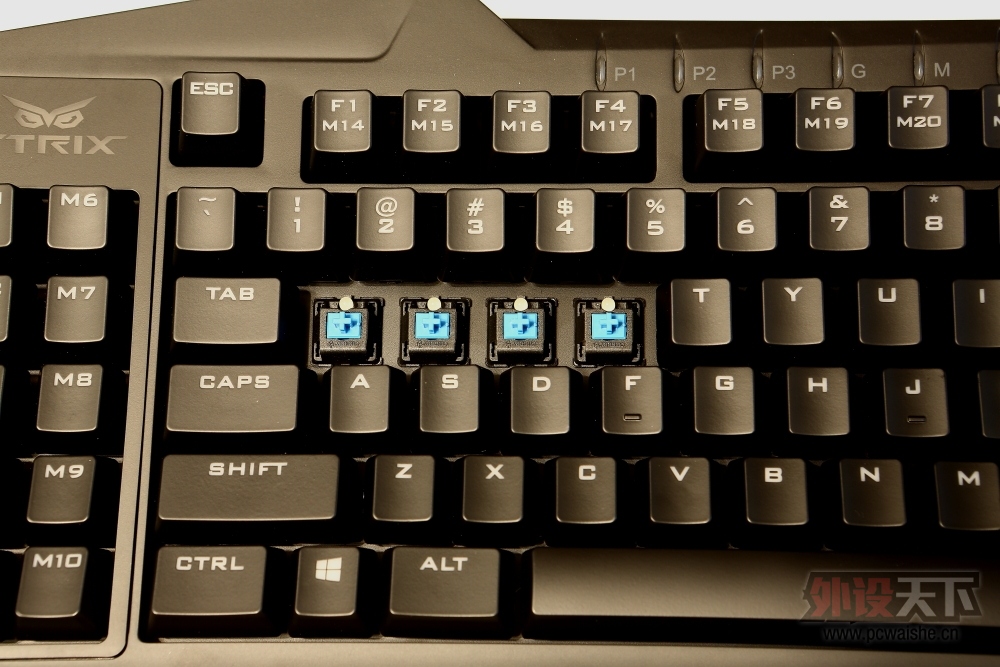 �����᡿��˶èͷӥ������----STRIX PRO���������