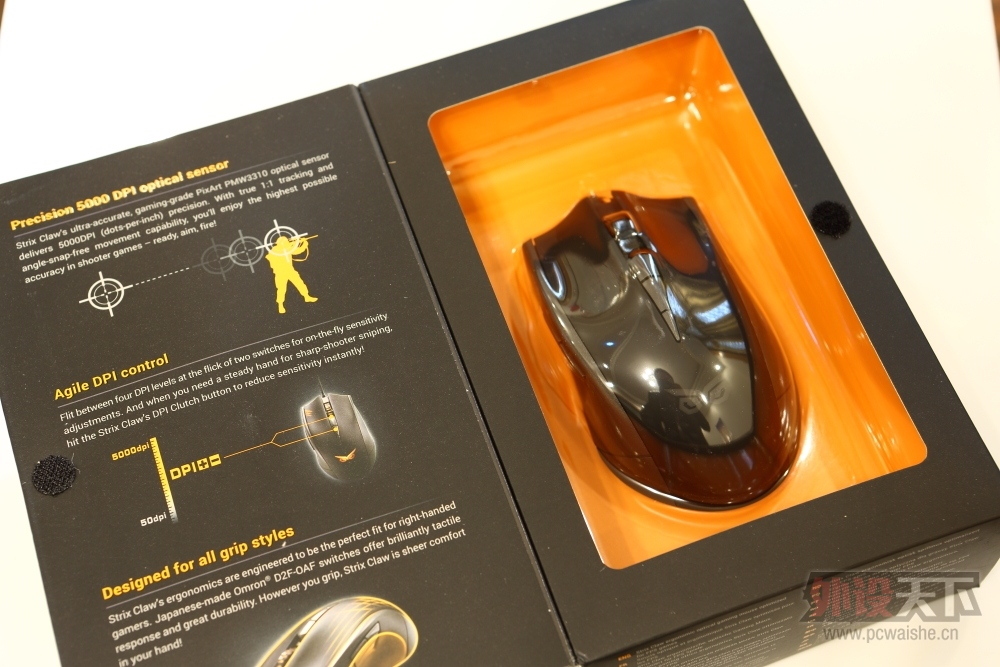 �����᡿��˶èͷӥ������----STRIX PRO���������