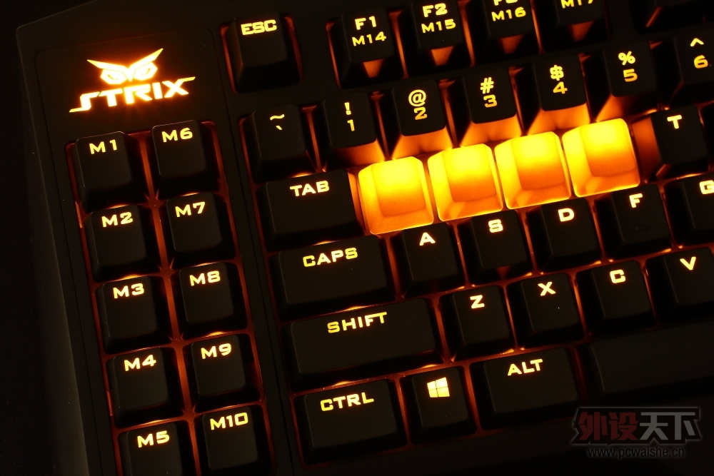 �����᡿��˶èͷӥ������----STRIX PRO���������