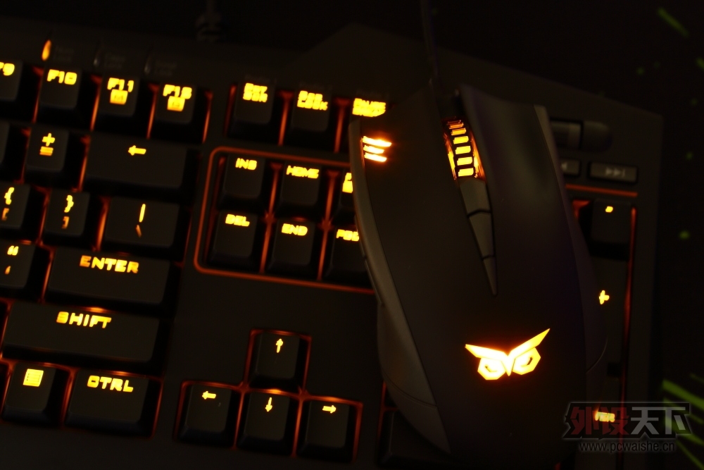 �����᡿��˶èͷӥ������----STRIX PRO���������