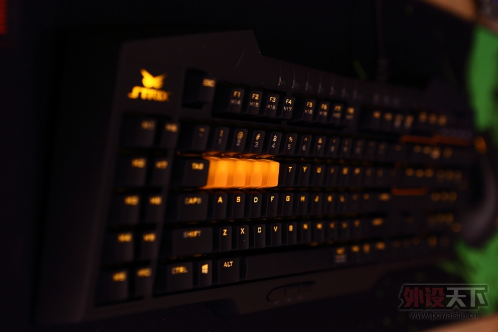 �����᡿��˶èͷӥ������----STRIX PRO���������