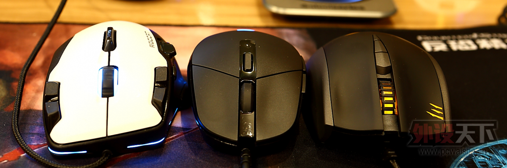 �����᡿��˶èͷӥ������----STRIX PRO���������