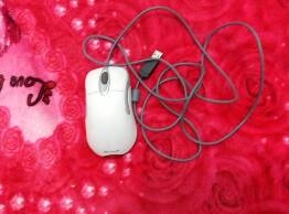 ������������zowie  ptfs����  ���� ���� ���һ�� �����ݳ���