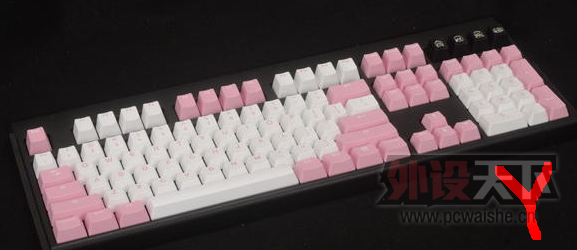 ���˽ڶ�ɫ.png