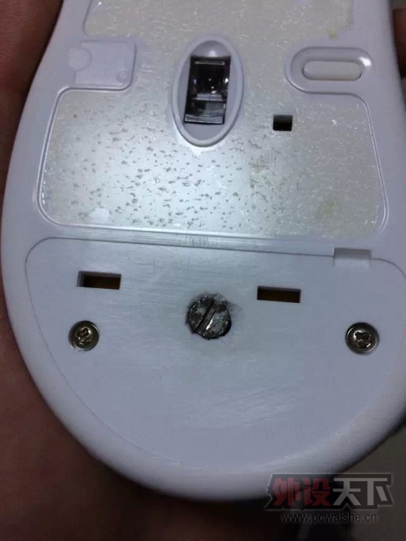 Zowie EC2΢ڻˣо̫