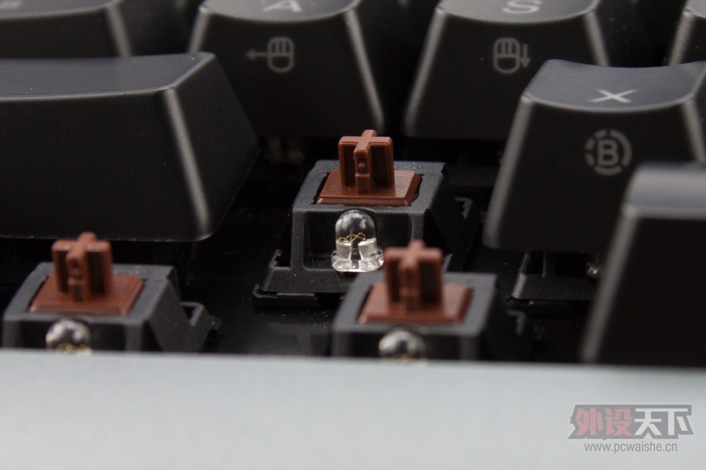 ducky miniܽ