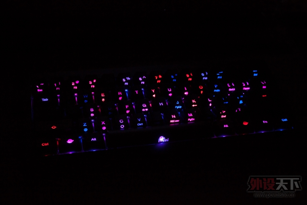 ducky miniܽ