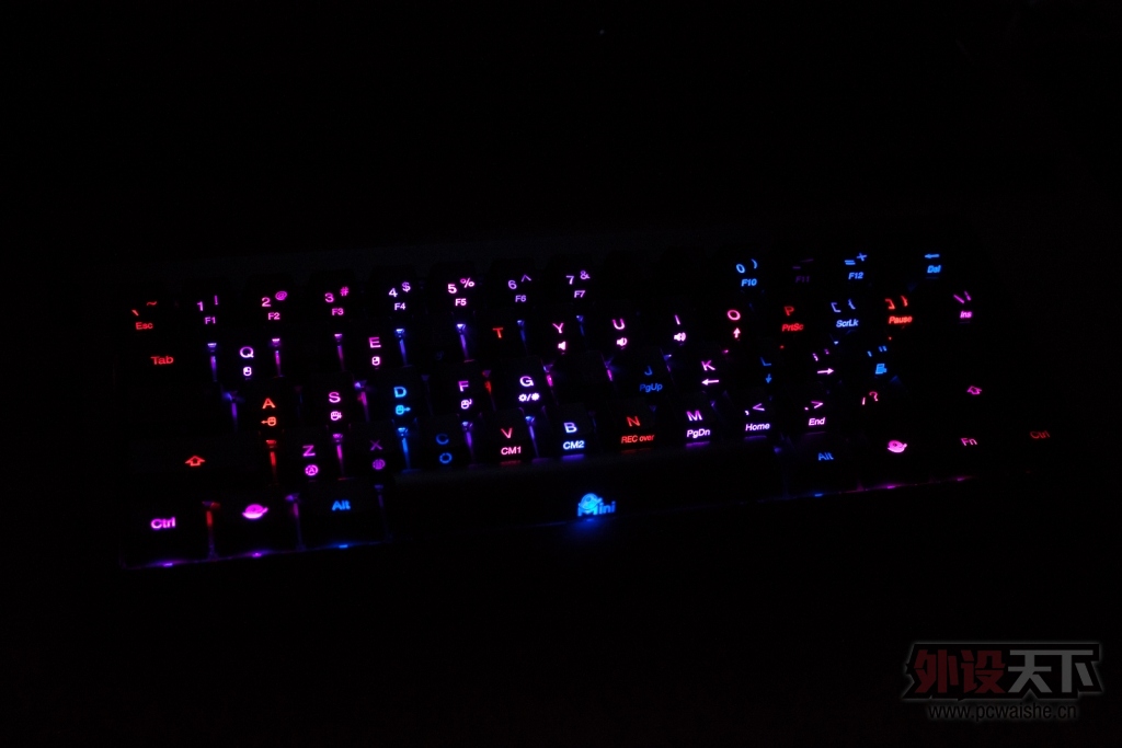 ducky miniܽ