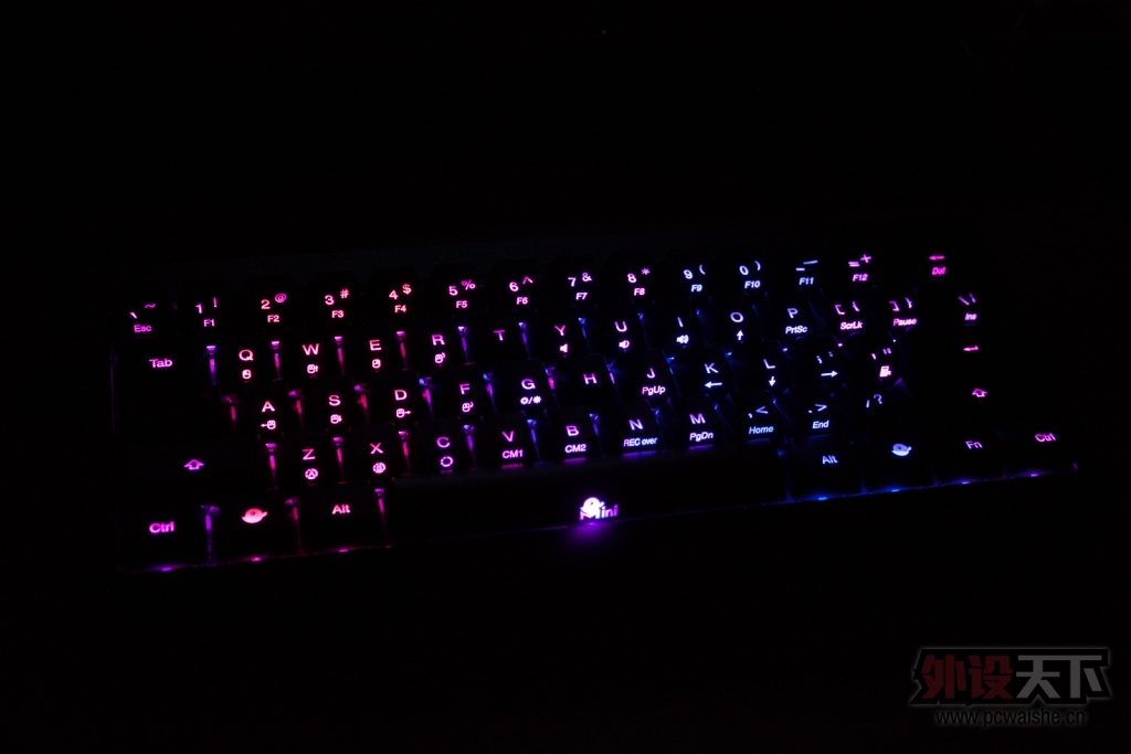 ducky miniܽ