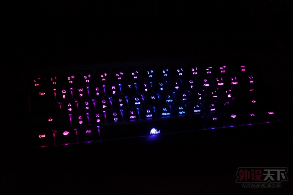 ducky miniܽ