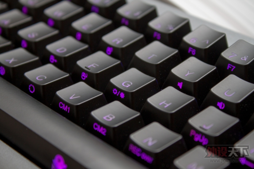 ducky miniܽ