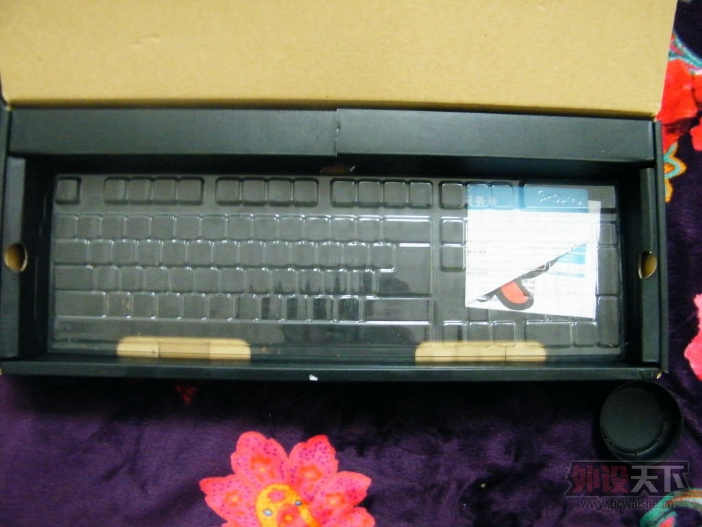DSCF6187.JPG