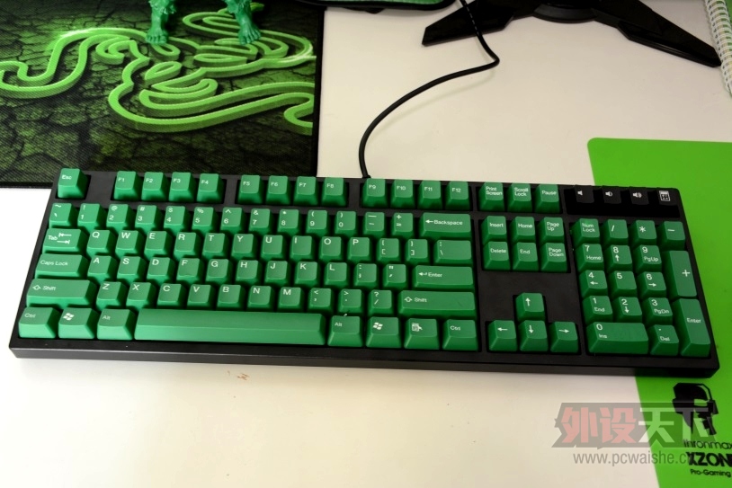 ��ɹ���桿  ֻʣñ�ӣ�Сɹ����������ɫһ�� ȫ����װ������
