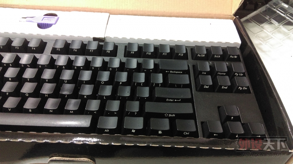 IMAG0970.jpg