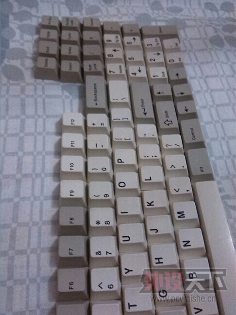 ���㶫���ѳ�