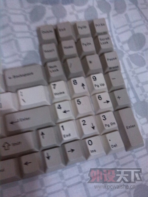 ���㶫���ѳ�