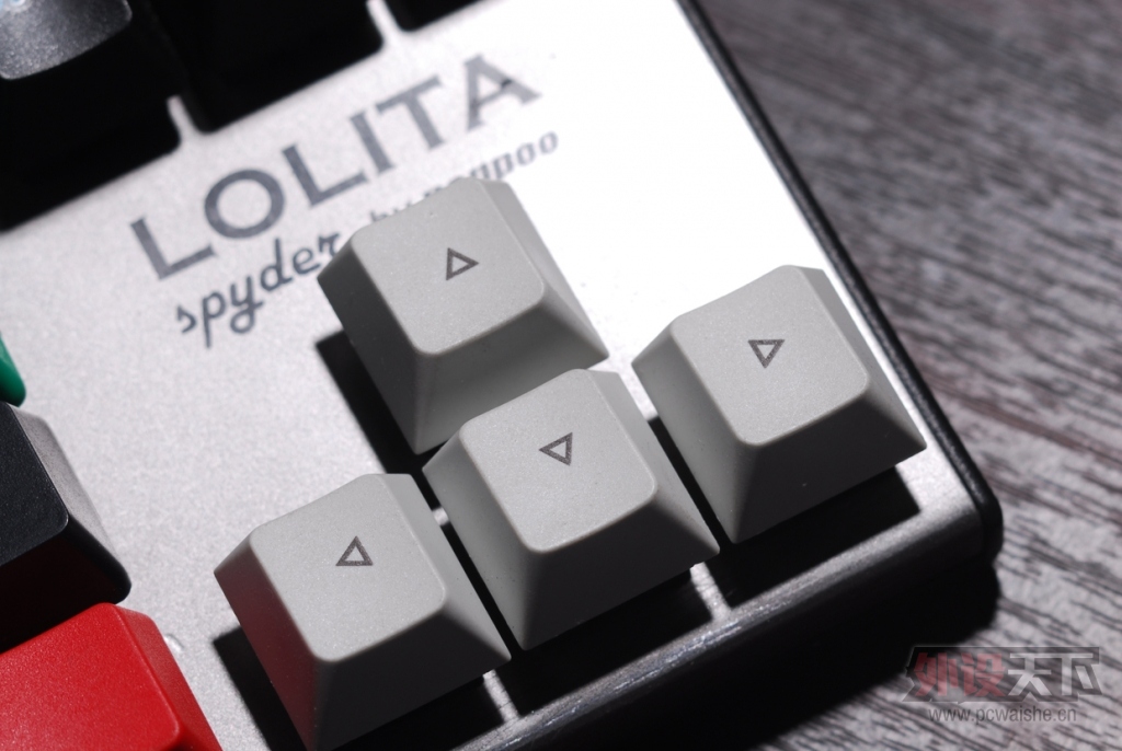ҵNOPPOO LOLITA 