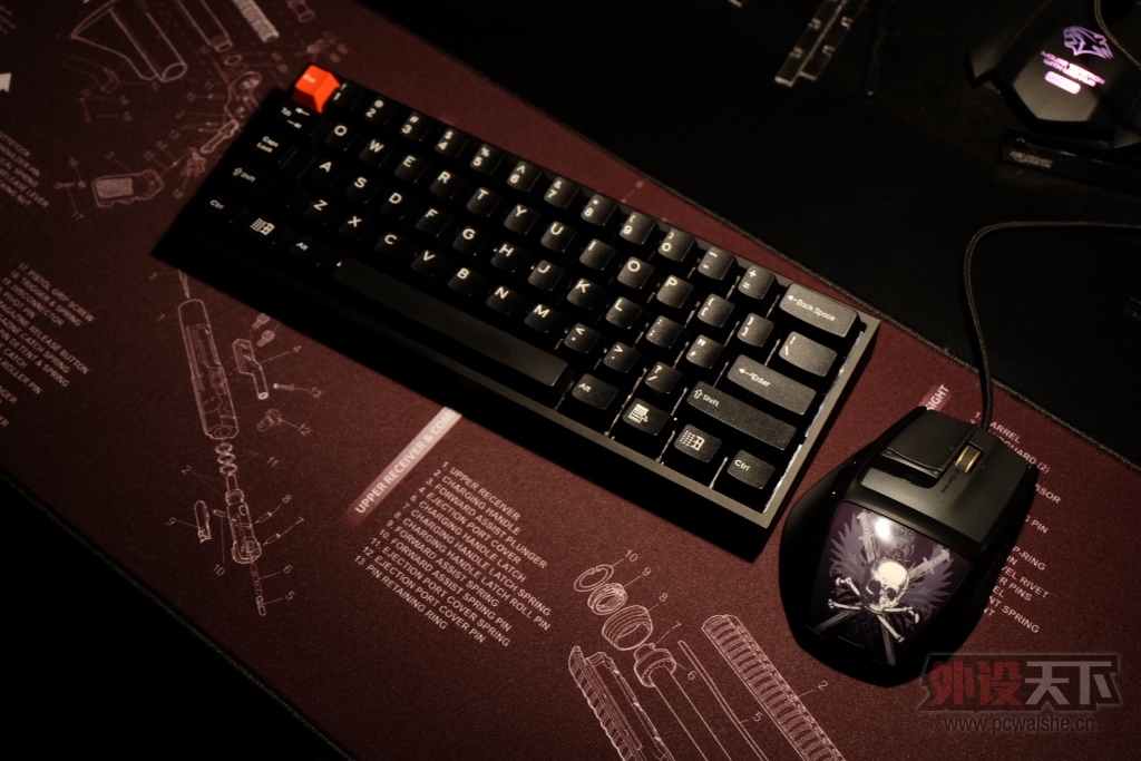 ��������SP�ڶ�ɫ87��104��һ��