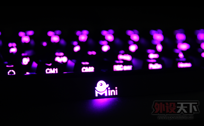 Źⱼ.ǻ.ĵ.ǳDucky Mini.