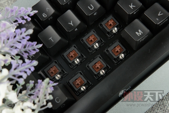 �����ӡ��ߴ�֮��ת����ǧ Ducky mini��ϸ����