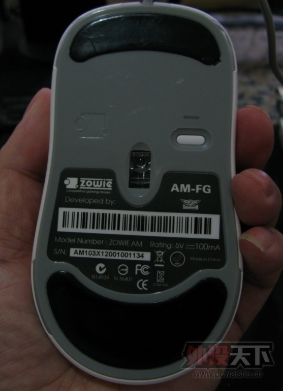 IMG_0039x.JPG