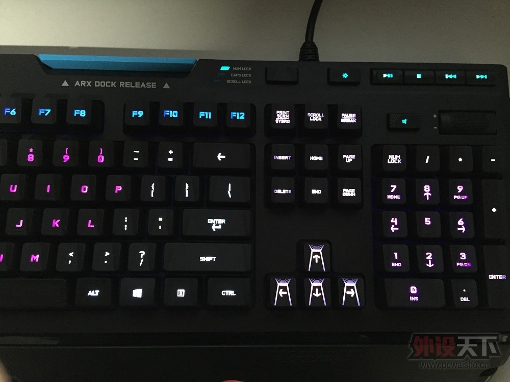 ���Źⱼ��.�����ǻ���.��������ĵ�.ǳ��Ducky Mini.