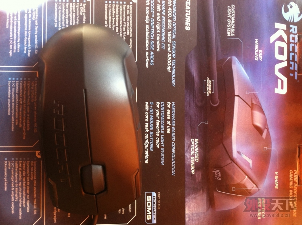 ���ѳ�������