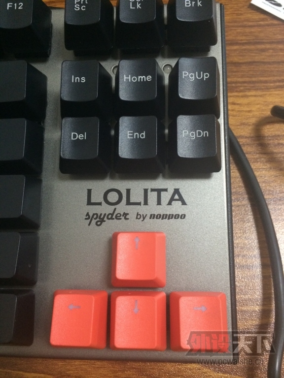 ˮNoppoo Lolita Spyder