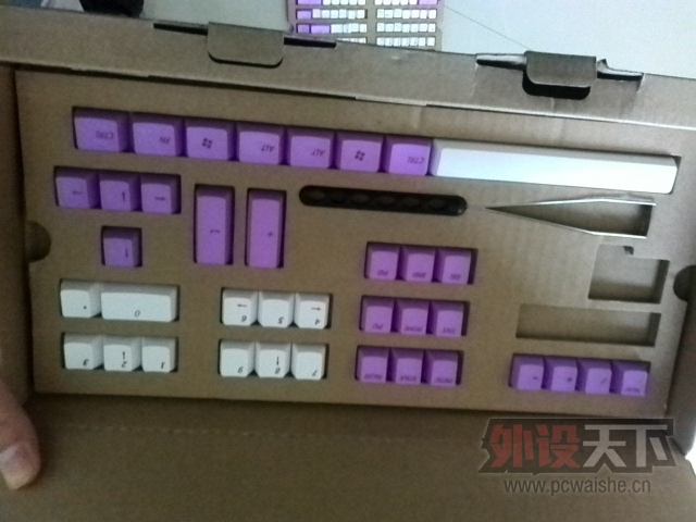 111.jpg