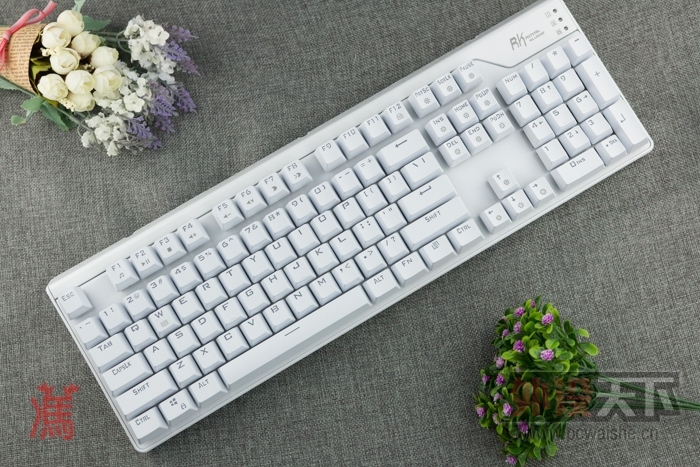 ӡ˵ͷ Royal Kludge RG928ϸ