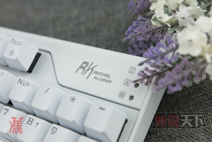 ӡ˵ͷ Royal Kludge RG928ϸ
