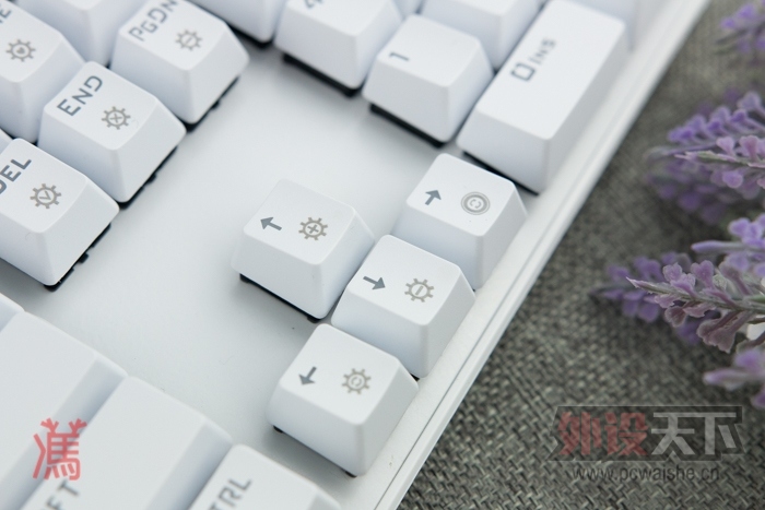 ӡ˵ͷ Royal Kludge RG928ϸ