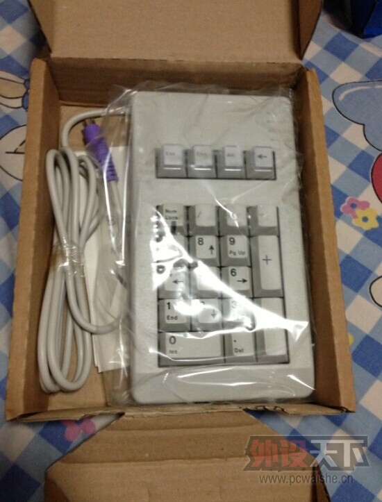 [����]���յ���������ꡢ���桢���̡�������40�����۸�����