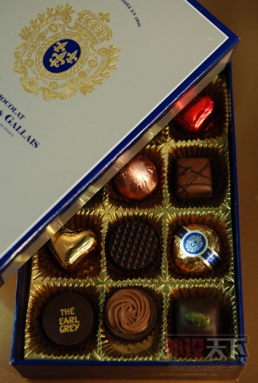 ���������¡����˽ڡ������  ��������   ����~\(�R���Q)/~������