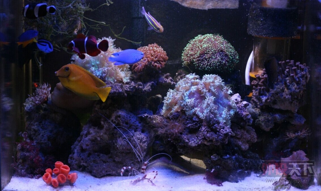 ף����������� ���費��Ǯ~