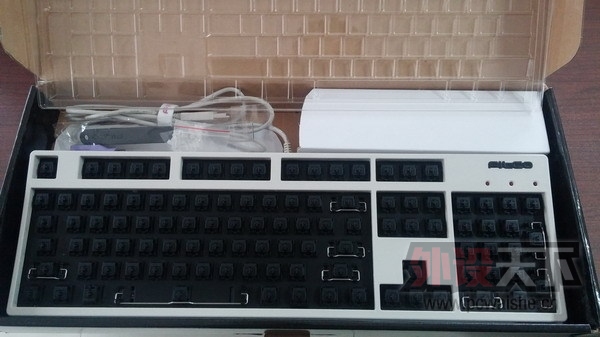 �����ա� filco ���� ����  �ѳ�