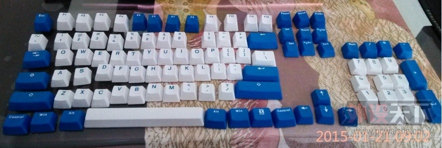 11.jpg