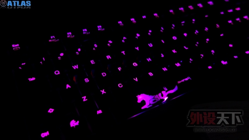 һȣDuckyShine4ͼ