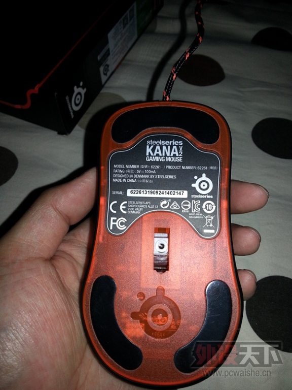 Kana 6.jpg