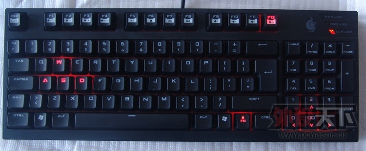T2h902XzBXXXXXXXXX_!!912241127.jpg