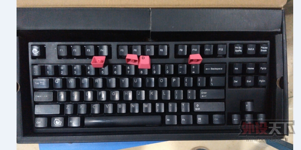 dk.jpg