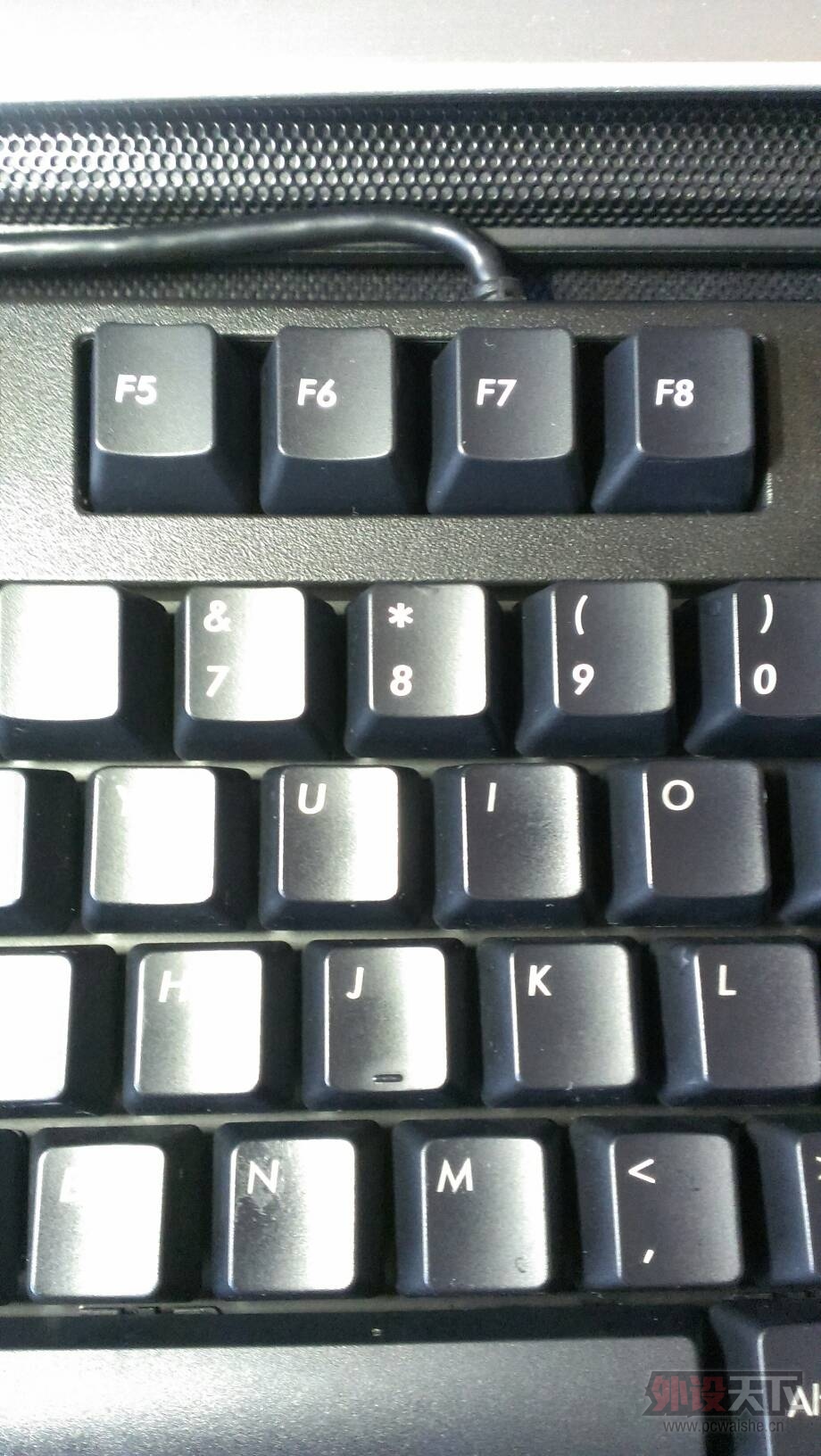 110747twwazeaelslygsyw.jpg