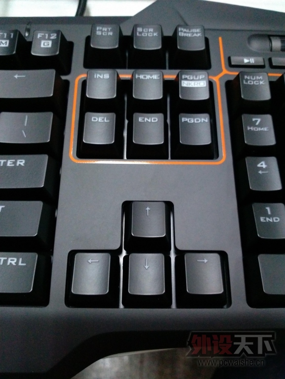 ˹˾ļSTRIX TACTICΪûùе