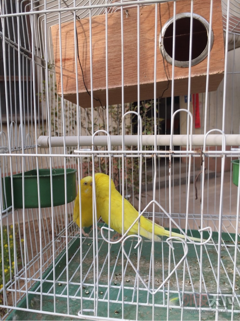 ������֮ͽ�� ������ ��ͼ���� ��ʼ�ˣ����������