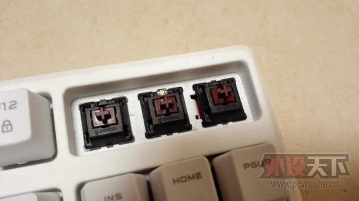 ���㶫�����棡����87�����ײ� CherryMX