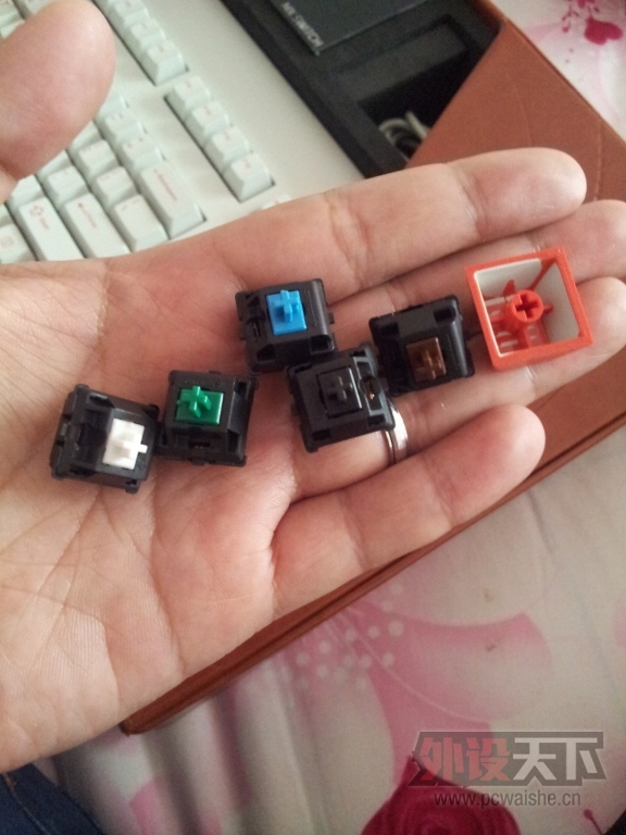 IMG20150404110831.jpg