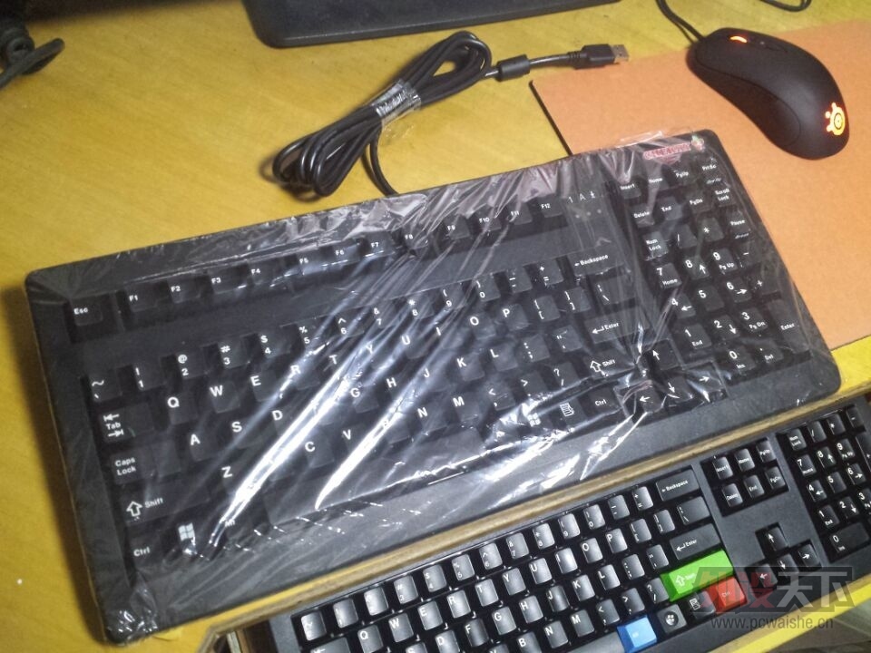 [����] �����ݡ��²����� Cherry 1863 104��/������