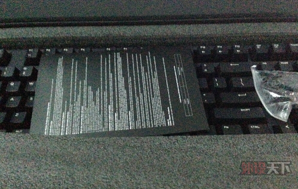 123.jpg