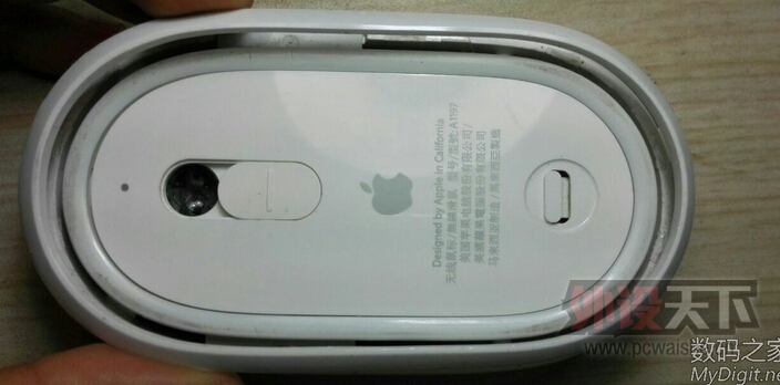 ƻ�����������+��������